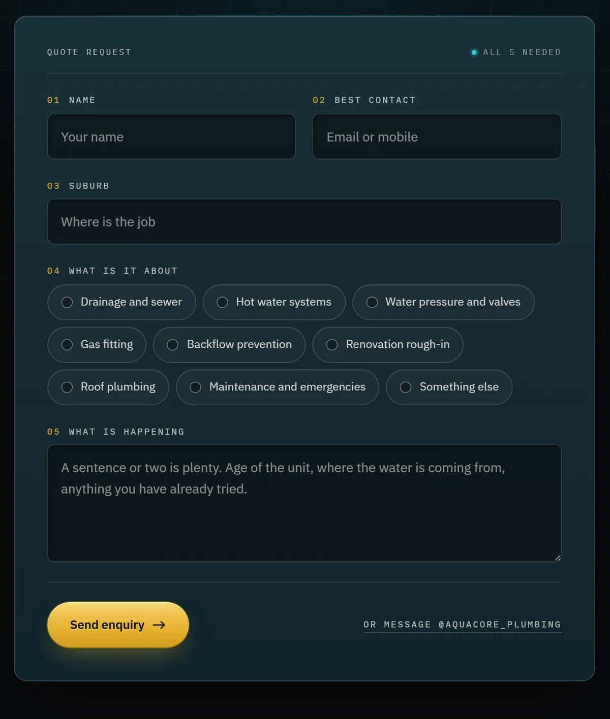 AquaCore Plumbing quote form with five fields: name, best contact, suburb, the job type as nine buttons and what is happening
